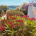 Apartment House Agradable Seget Vranjica