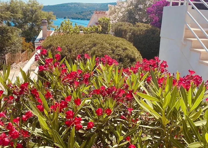 Apartman House Agradable Seget Vranjica