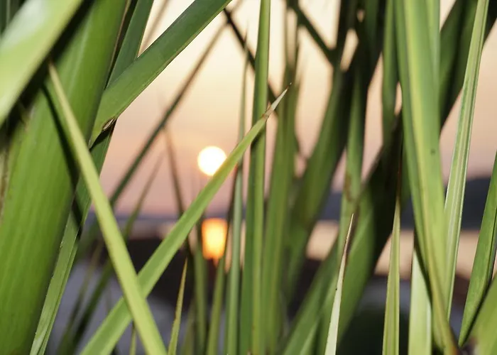 House Agradable Apartman *