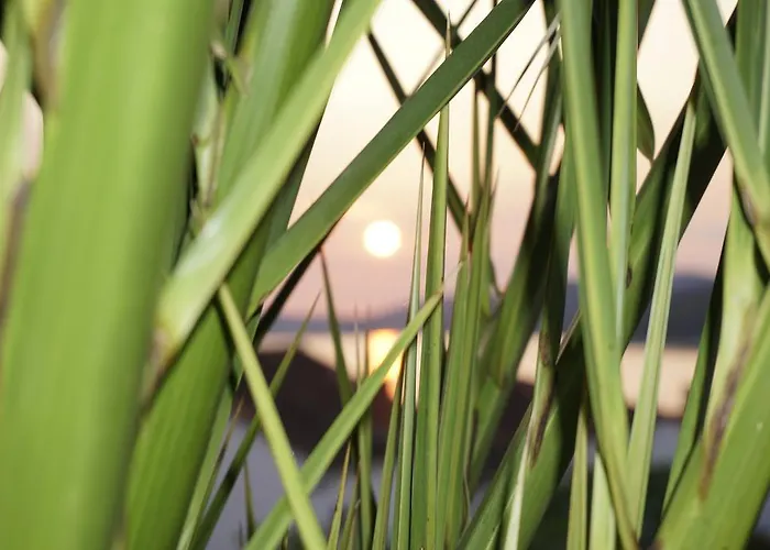 Apartman House Agradable